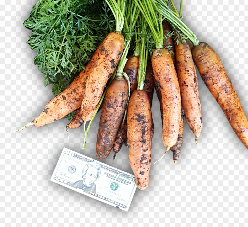 Carrots Animal Source Foods Vegetable Carrot PNG