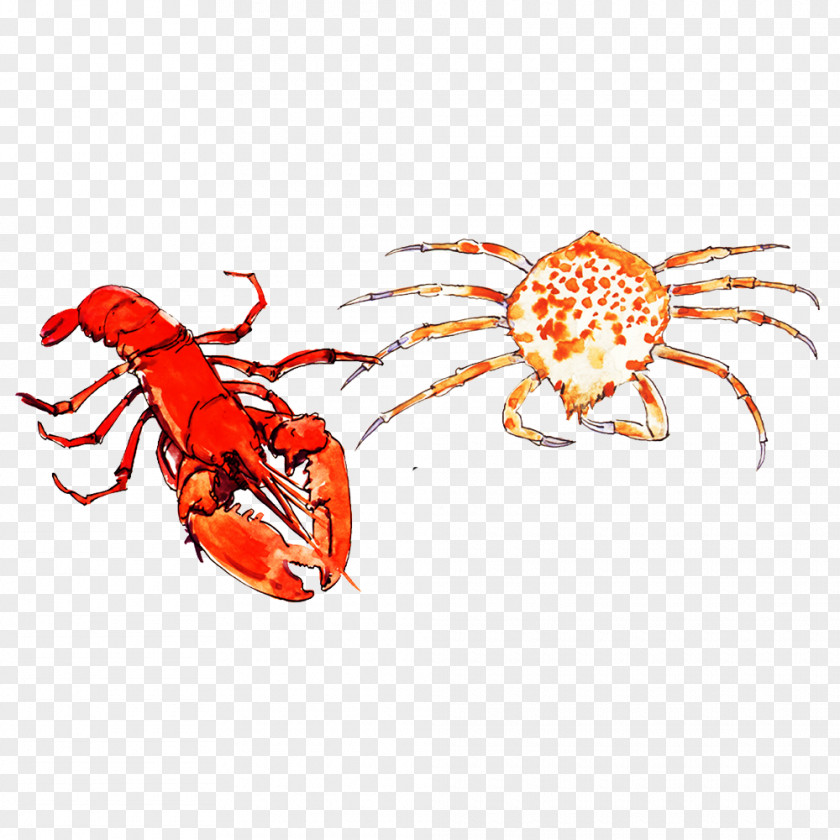Crab Lobster Seafood Palinurus Elephas PNG elephas, Painted lobster crab clipart PNG