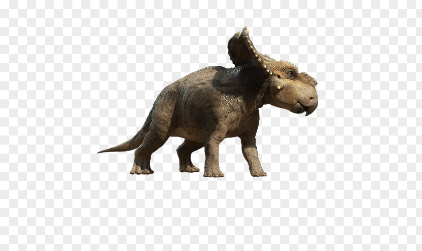 Dinosaur Pachyrhinosaurus Tyrannosaurus Scowler Troodon Patchi PNG