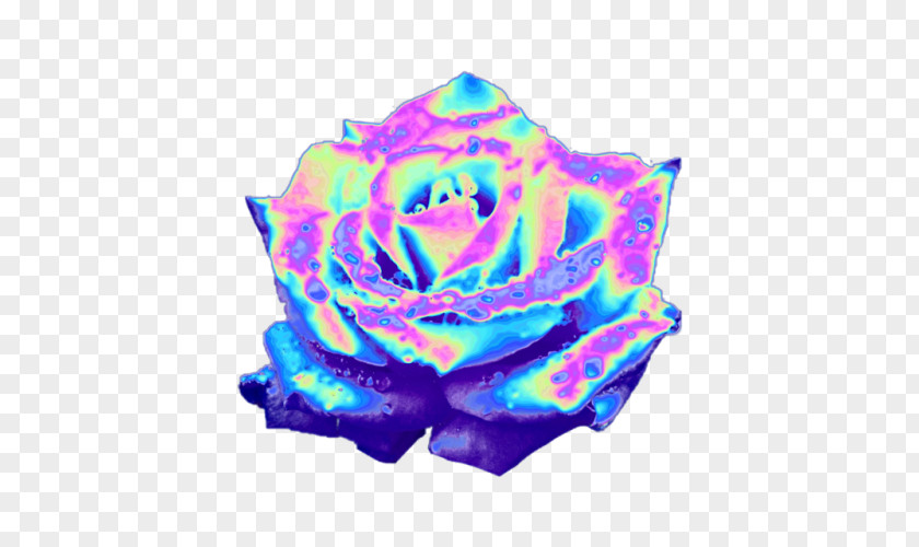 Holograph Rainbow Rose Garden Roses Blue Iridescence Tumblr PNG