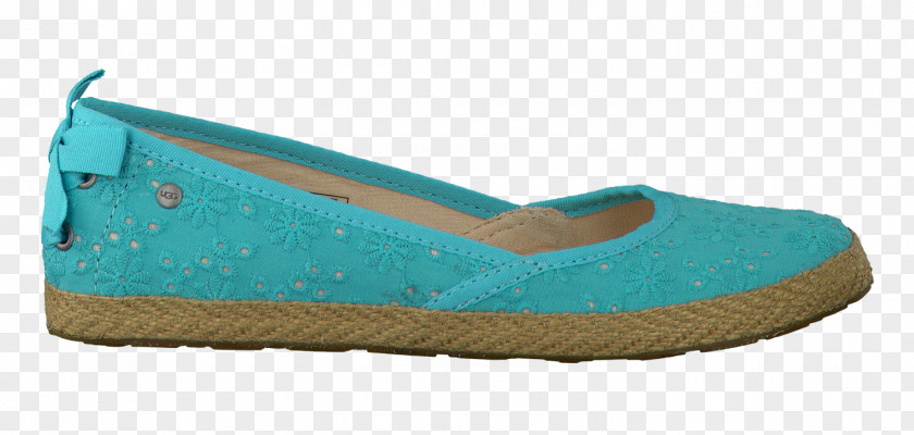 Polish Currency To Us Dollar Shoe Walking Turquoise PNG