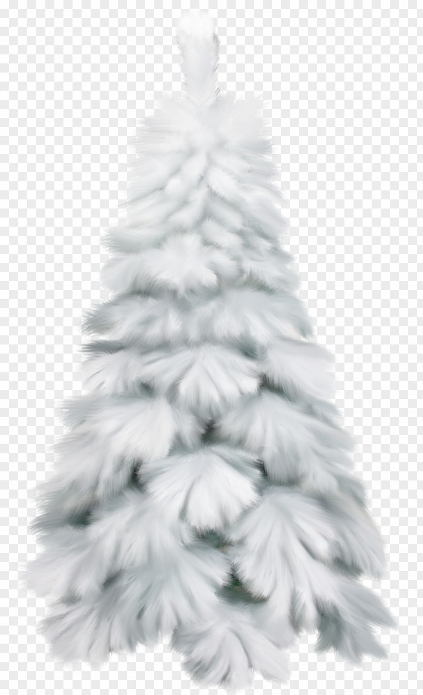 Sandalwood Christmas Tree PNG