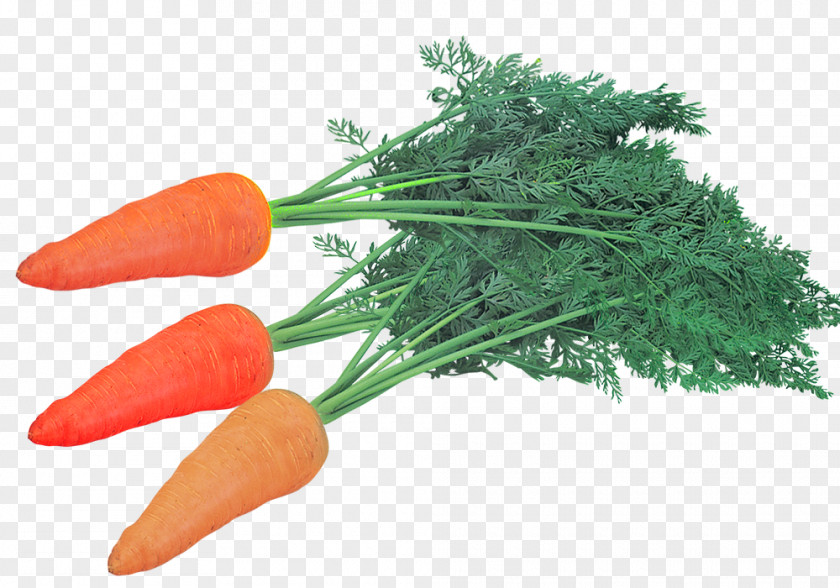 Store Stocking Carrot Baby Chinese New Year PNG