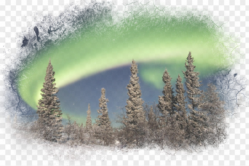 Beautiful Landscape Desktop Wallpaper Boreal Forest Of Canada Bingxue Big World Environment PNG