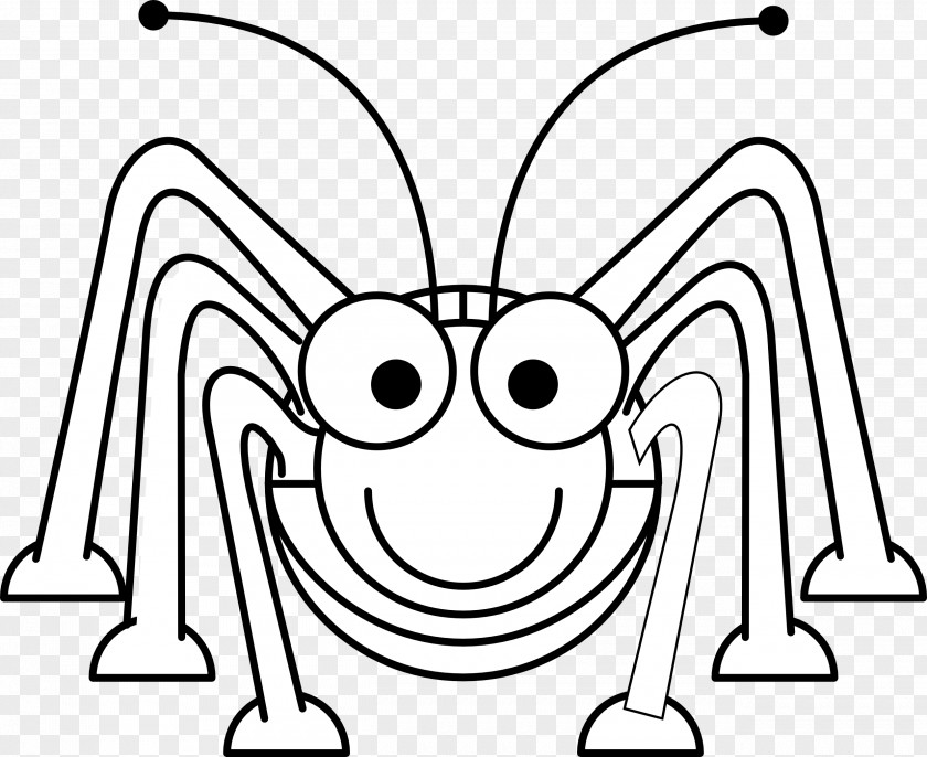 Cartoon Lines Coloring Book Beetle Ant Drawing PNG