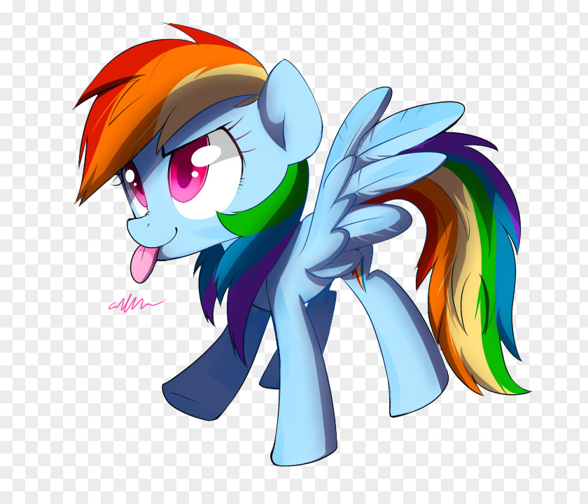 Fan Rainbow Dash Pinkie Pie Pony Twilight Sparkle Rarity PNG