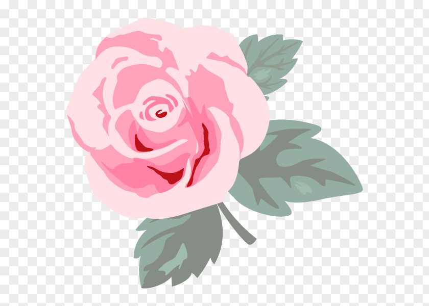 Garden Roses Pink Cabbage Rose Flower Nosegay PNG