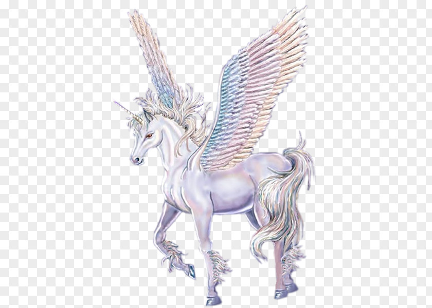 Horse Winged Unicorn Legendary Creature Pegasus PNG