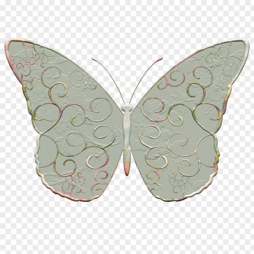 Napkin Butterfly Insect Moth Pollinator Wing PNG