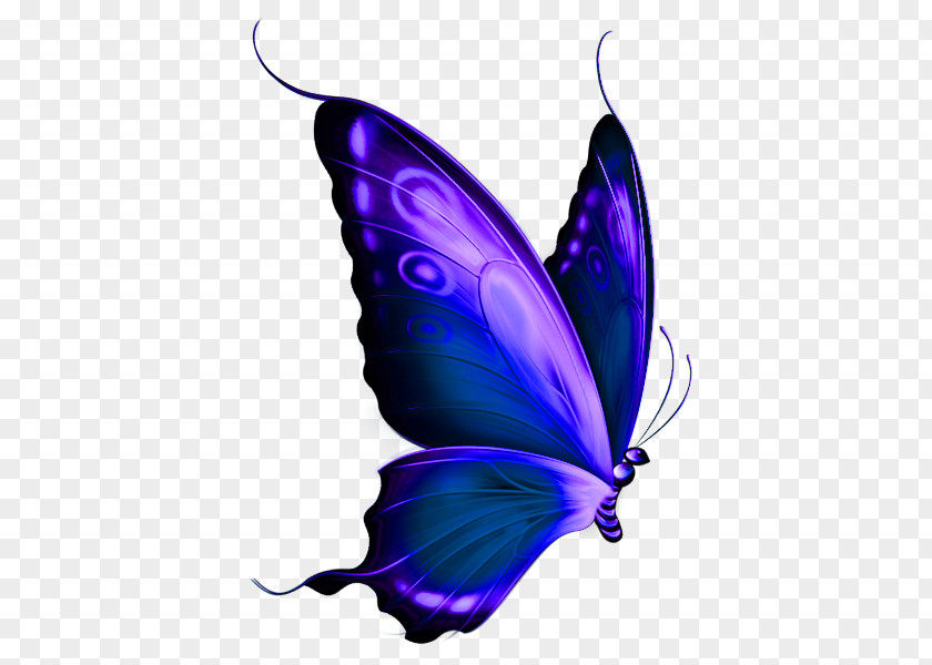 Purple Butterfly Red Greta Oto Clip Art PNG