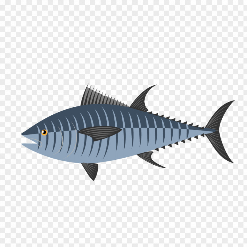 Vector Seabed Fish Japanese Spanish Mackerel Illustration PNG