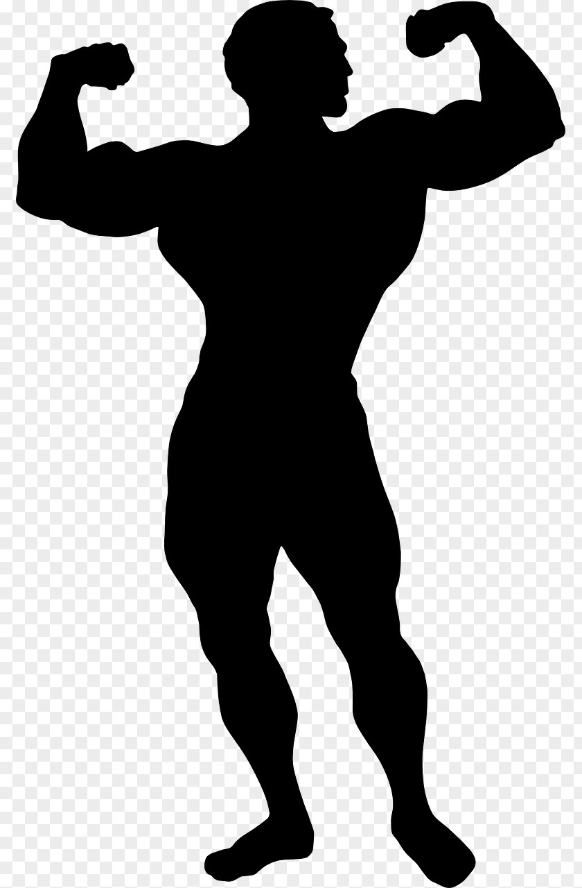 Bodybuilding Clip Art Illustration Silhouette Image PNG
