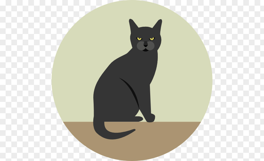 Cat Black YouTube Kitten PNG