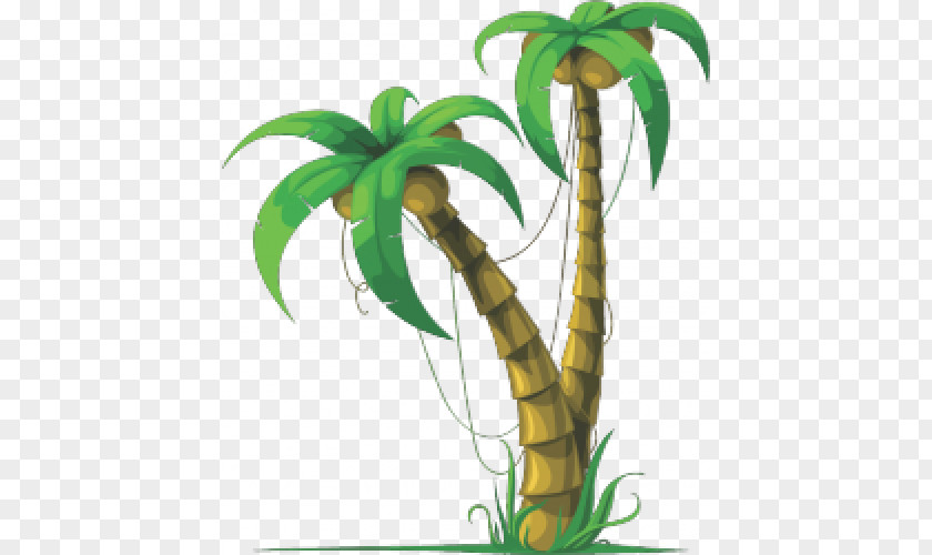 Coconut Arecaceae Plant Tree PNG