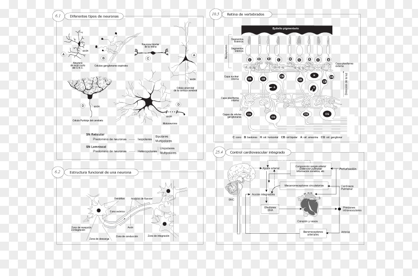Design Paper Product Pattern Point Line Art PNG