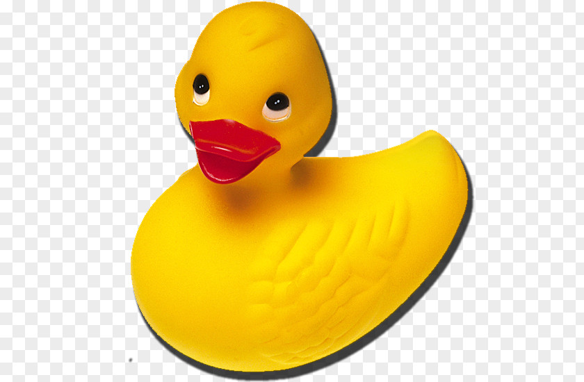 Duck Rubber Raster Graphics PNG