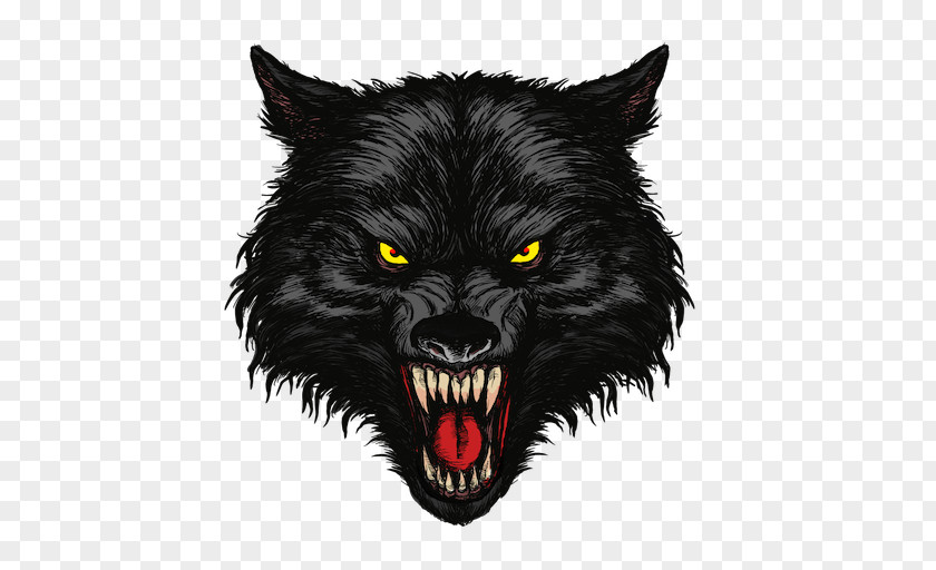 Gray Wolf Tattoo Drawing PNG
