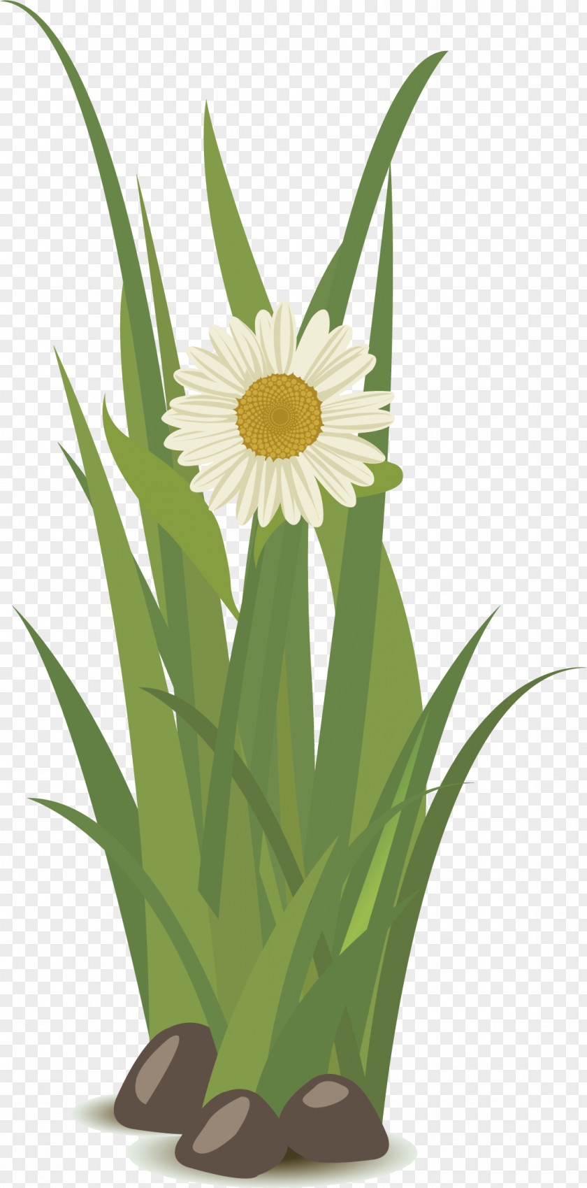 Green Grass Vector Yellow Floral Design PNG