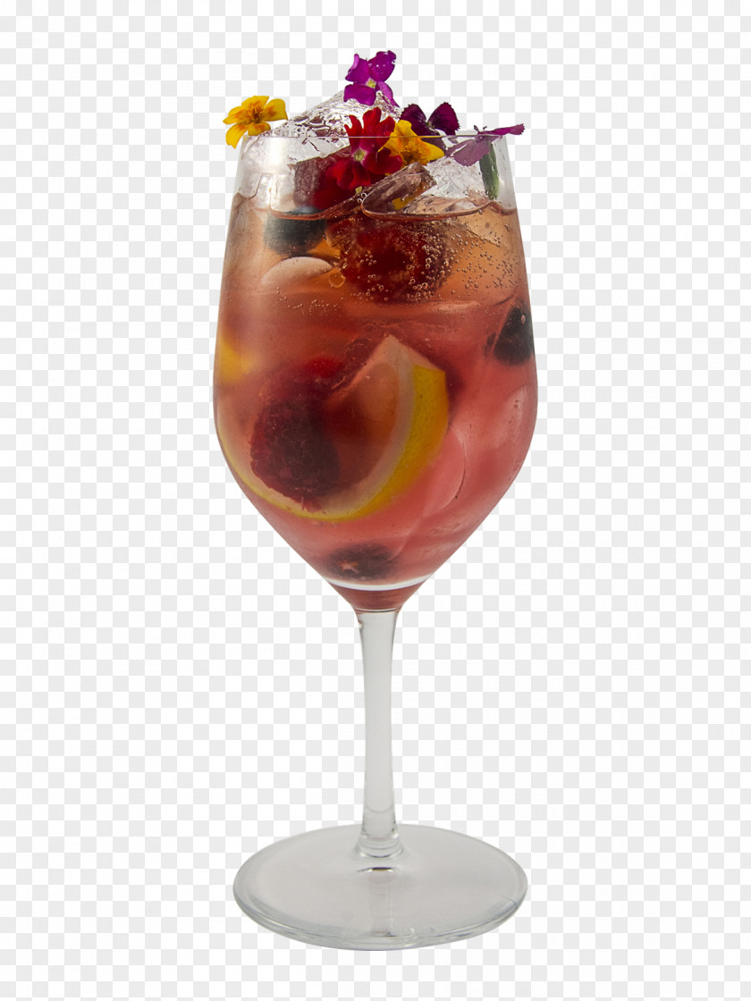 Punch Cocktail Garnish Sangria Spritzer Wine PNG