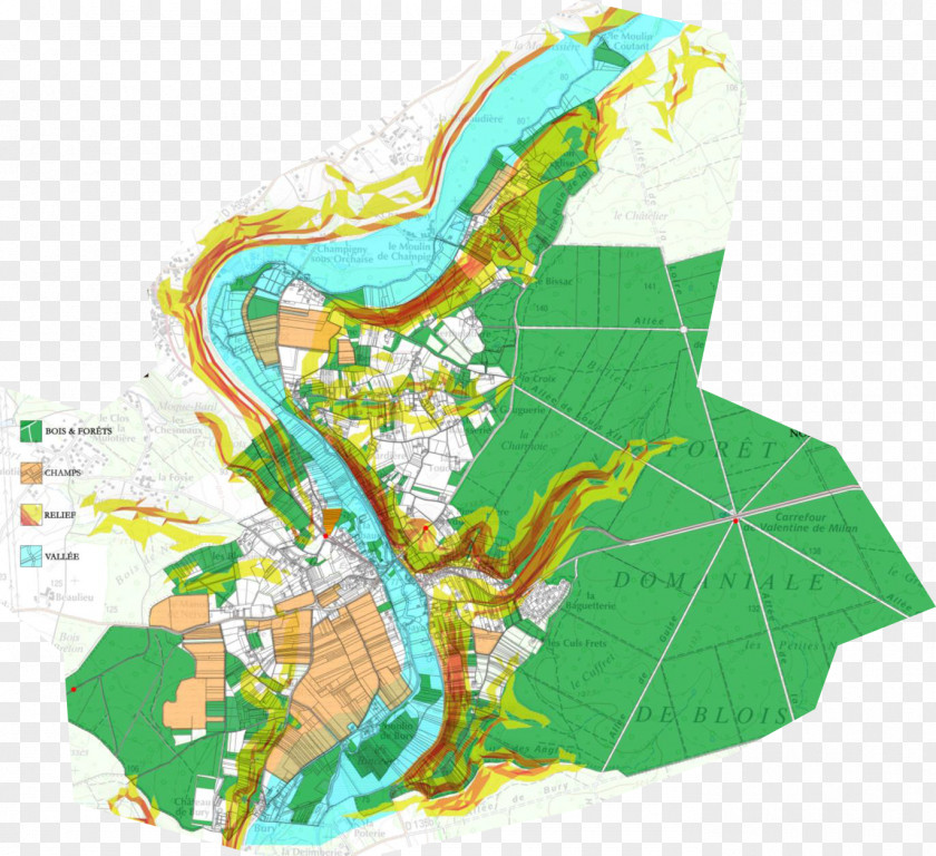 Tree Map Tuberculosis PNG