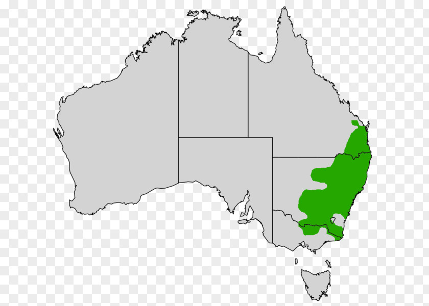 Australia Blank Map United States World PNG