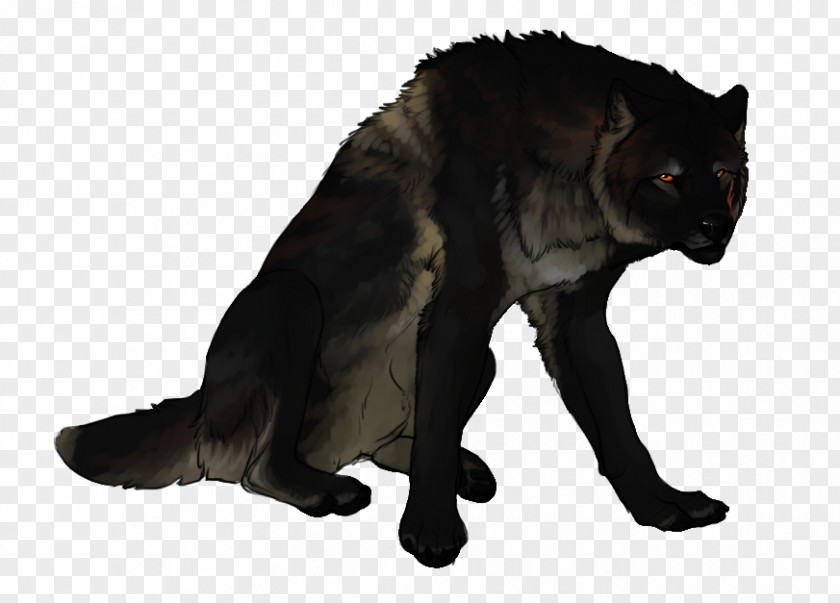 Cat Dog Fur Canidae Snout PNG