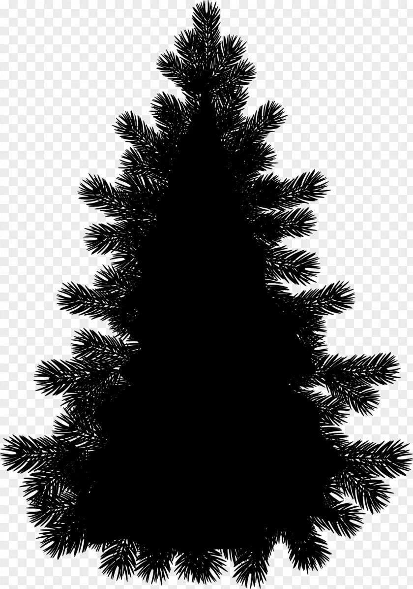 Clip Art Silhouette Pine Drawing Free Content PNG