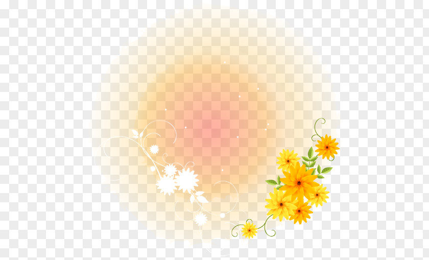 Floral Background Desktop Wallpaper Computer Sunlight Sky Limited PNG