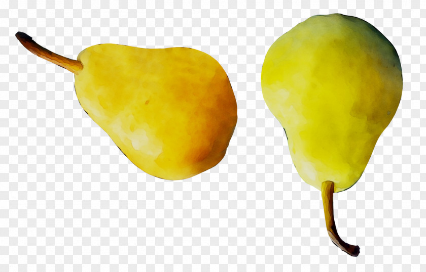 Habanero Still Life Photography Pear Chili Pepper PNG