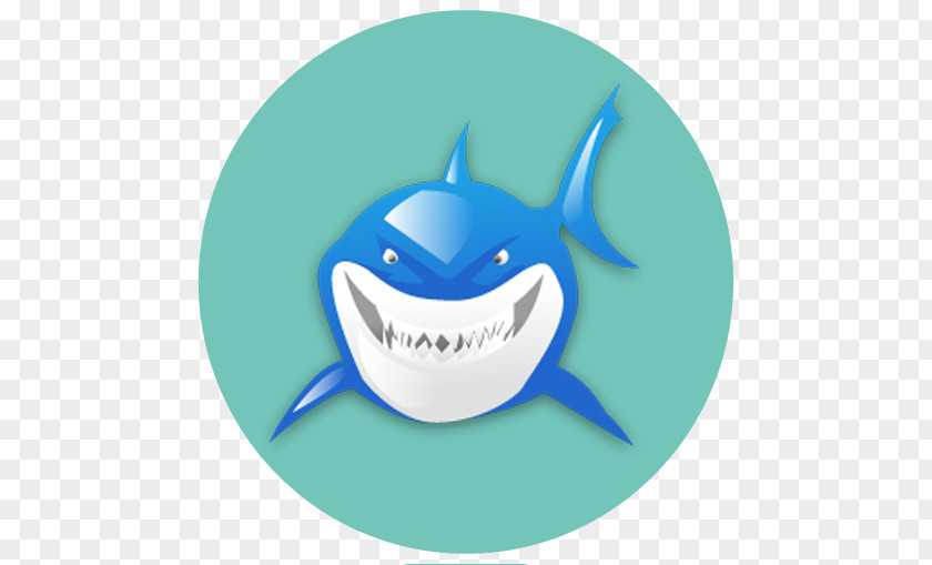 Icon Shark Download Jaws Business PNG
