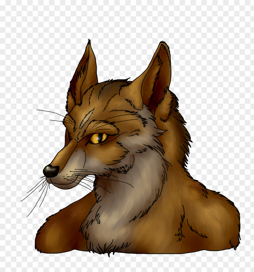 Kit Fox Red Whiskers Snout PNG