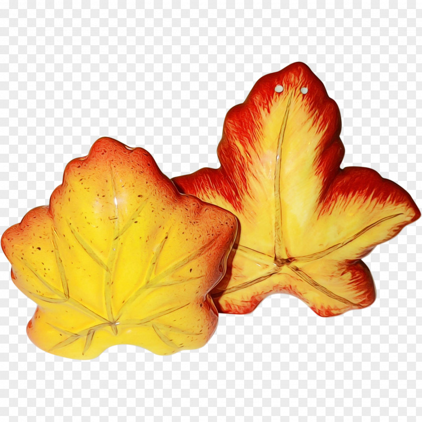 Leaf Petal Plant Structure Biology PNG