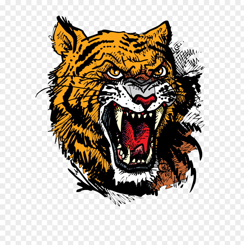 Tiger Felidae Clip Art PNG