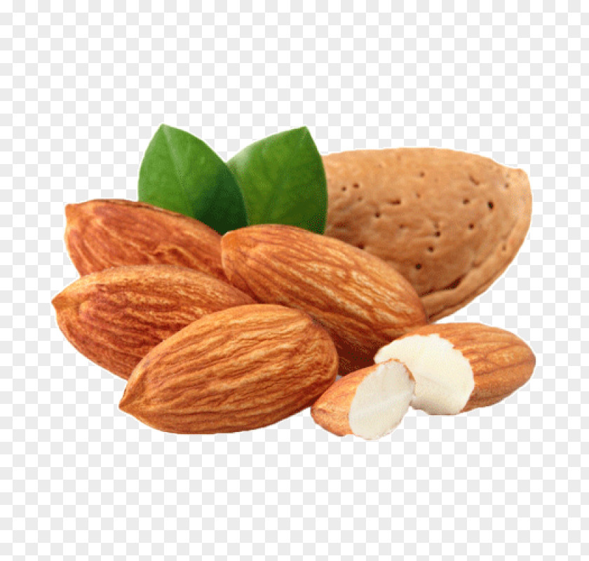 Almond Oil Korma Nut Cashew PNG