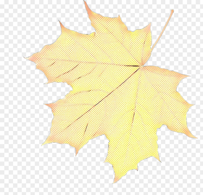 Autumn Soapberry Family Leaves Background PNG