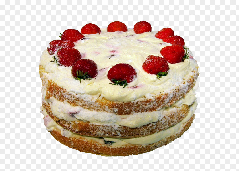 Cake Sponge Cheesecake Torte Fruitcake German Chocolate PNG