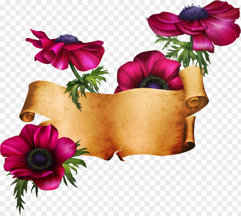 Flower Banner Paper Label Clip Art PNG