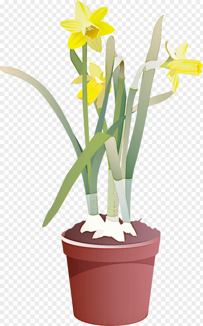 Flower Floral Vase PNG