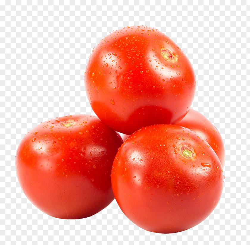 Tomatoes HD Clips Plum Tomato Vegetarian Cuisine Bush PNG