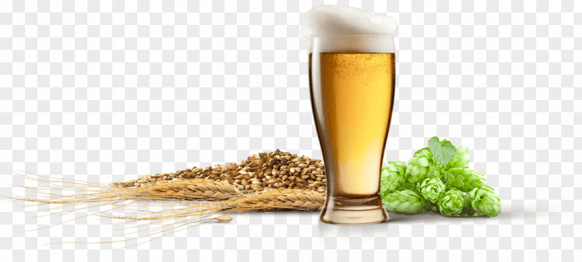 Beer Brewing Grains & Malts Yeast Brewery Glasses PNG