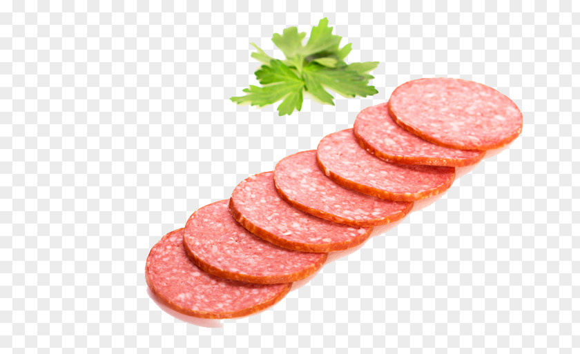 Breakfast Salami Rookworst Bratwurst Mettwurst PNG