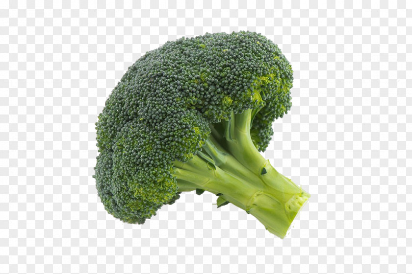 Broccoli Close-up Image Vegetable Drawing PNG