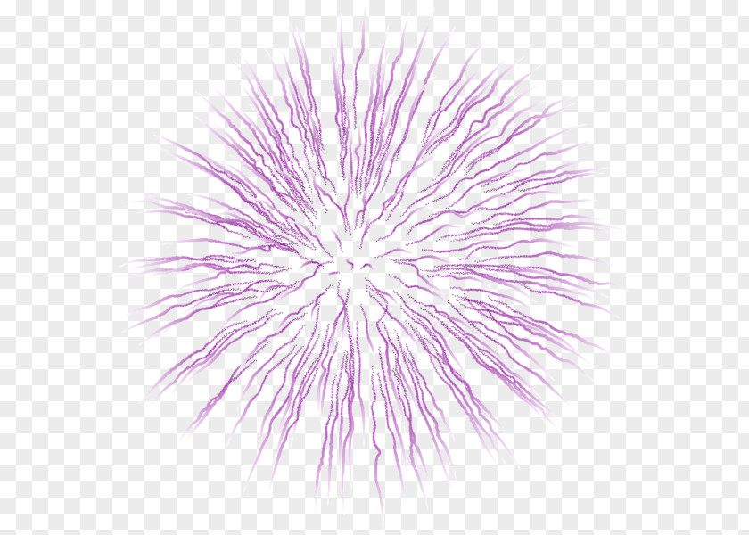 Fireworks Clip Art Image Vector Graphics PNG