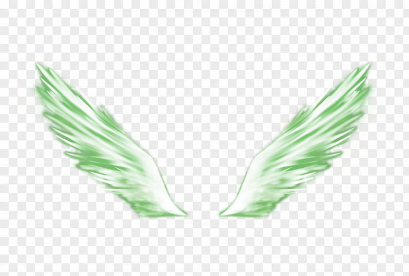 Green Wings PNG
