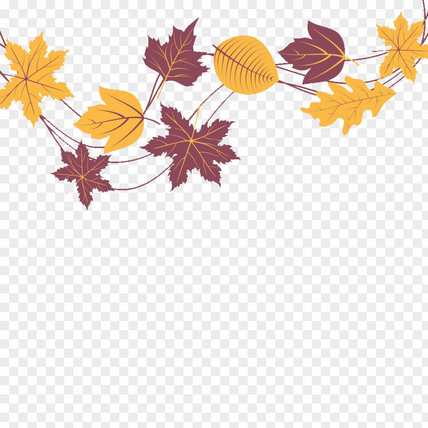 Leaves Maple Leaf PNG