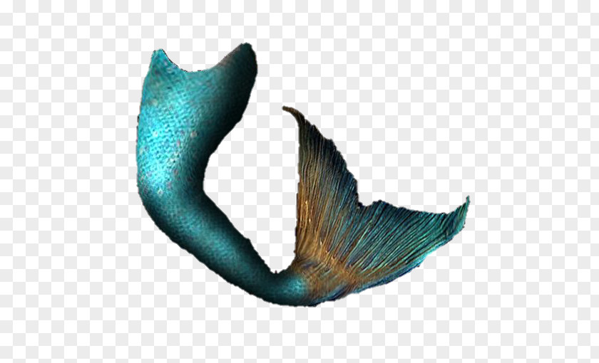 Mermaid Fin Ariel Fairy Tale Siren Tail PNG