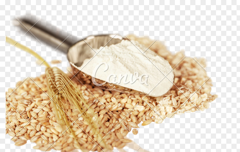 Barley Wheat Flour Cereal Tea PNG