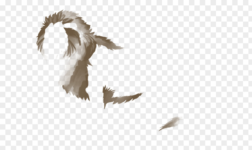 Lion Bird Beak Energy Feather PNG