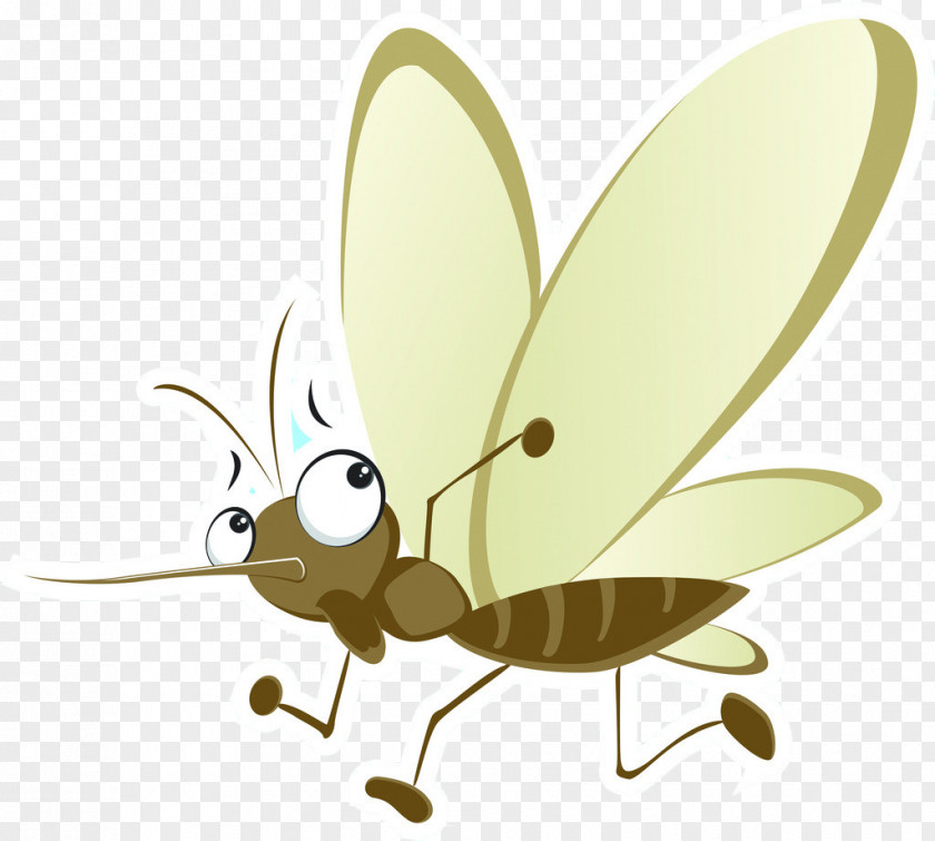 Mosquito Cockroach Insect Marsh Mosquitoes Pest Vector PNG