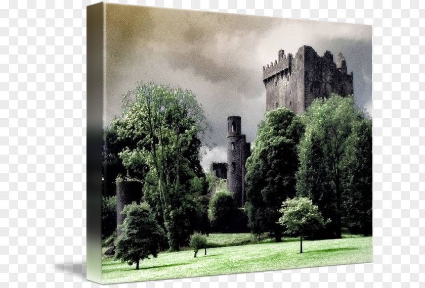 Painting Blarney Castle Gallery Wrap Canvas Art PNG